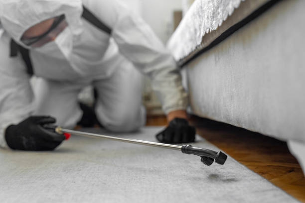 Professional Cockroach Control technician working in Minoa, NY